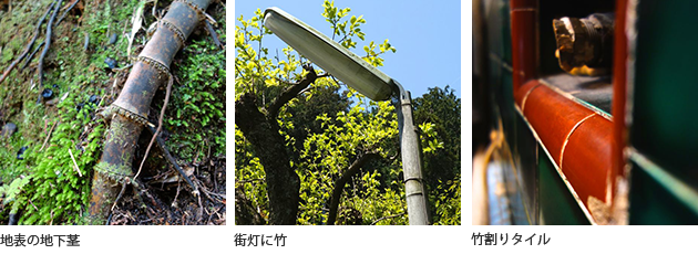 （左）地表の地下茎 （中央）街灯に竹 （右）竹割りタイル