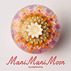 Mani Mani Moon ポロシリケイトガラスの世界