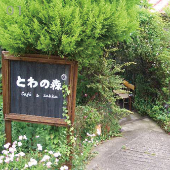 チルチンびと広場 大阪府 カフェ レストラン 宿 Cafe Zakka とわの森