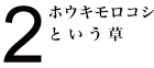 ホウキモロコシという草