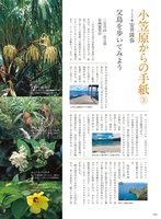 page 1 thumbnail