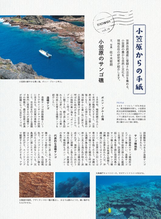 小笠原からの手紙⑱ 小笠原のサンゴ礁