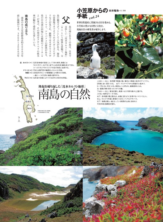 小笠原からの手紙㉔隆起を繰り返した「沈水カルスト地形」南島の自然