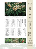 page 1 thumbnail