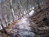 バキバキに氷る登山道