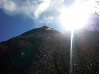 photo8妙高山。白い樹林がみえる