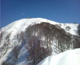 頂上の小屋を目がけて稜線をつたっていく。