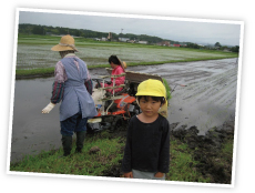 田植え風景。「まっすぐ植えられなかったとしても、粒の曲がった米ができるわけじゃあるまいし！（笑）」と、稲作の先輩方によく慰められます。