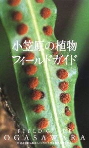 小笠原の植物　フィールドガイド 1