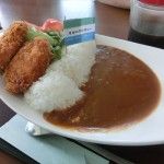 ダムカレー