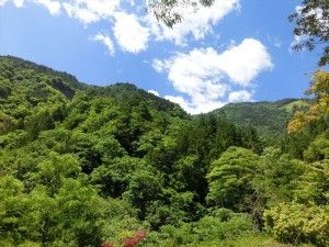 本日は晴天なり♪