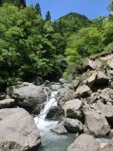 水を触ったらとっても気持ちよかった♪