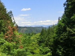 五段の滝付近からの景色