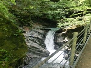 マイナスイオンを浴びています