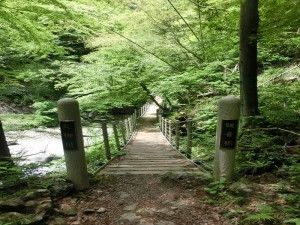 次から次へ橋が！！
