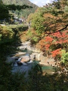 川の水が澄んでいてきれい！