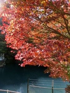 桃太郎の滝