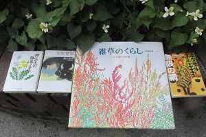 『チルチンびと』夏号の特集は、「草編みびと」です！