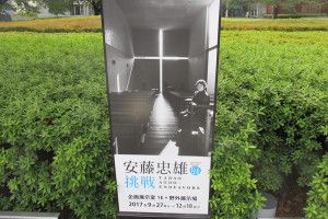 『安藤忠雄』展