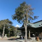 最初は鶴谷八幡宮