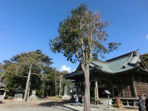 最初は鶴谷八幡宮