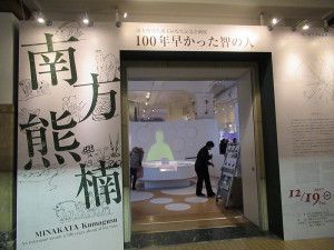 「南方熊楠 」展