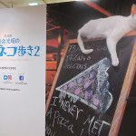 『岩合光昭の 世界ネコ歩き 2』展