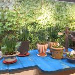 ベニシアさんの手づくり暮らし展