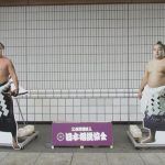 夏場所『稀勢の里』展