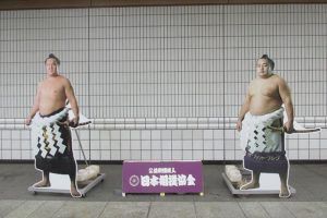 夏場所『稀勢の里』展