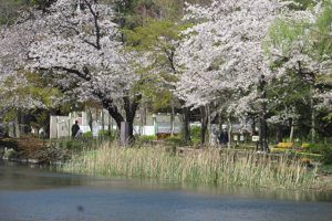 井の頭公園