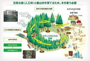 山と地域工務店が担う、地方創生と脱炭素社会