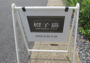 柚子猫  Orange  Cat