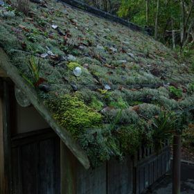 水車小屋