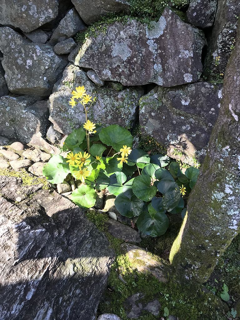 私の居場所