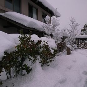 8年ぶりの大雪