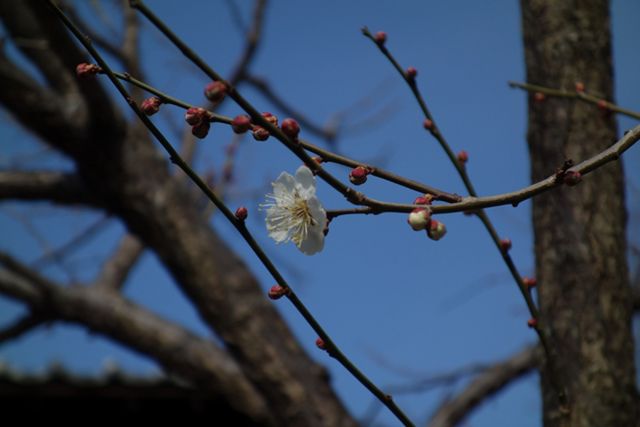 武相荘