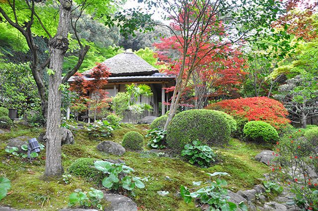 新居浜 慈眼寺