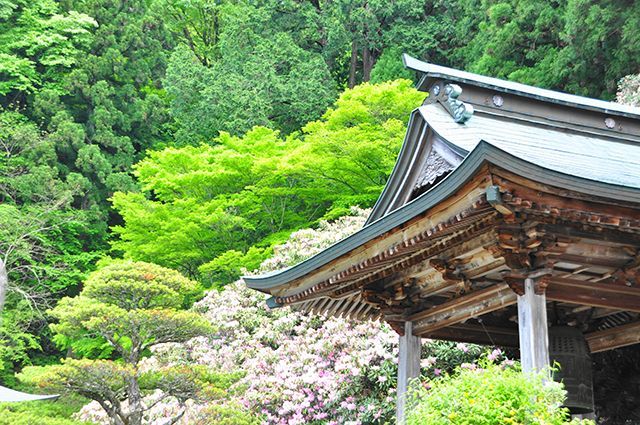 四国遍路・石鈇山 横峰寺