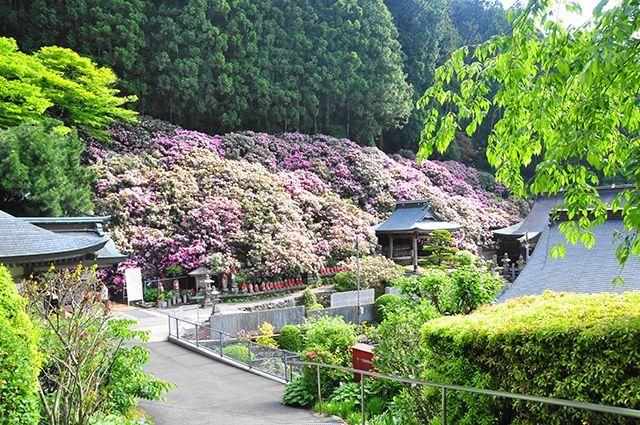 四国遍路・石鈇山 横峰寺
