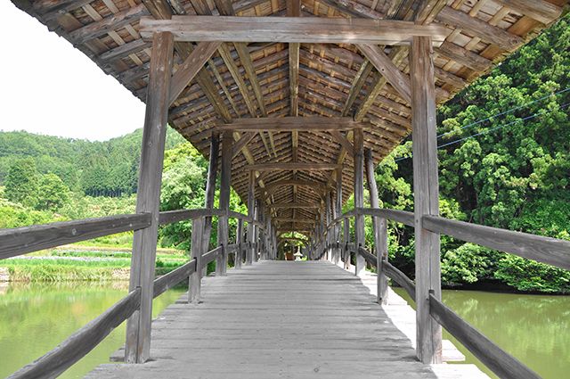 愛媛県内子町石畳「屋根付き橋と花菖蒲」