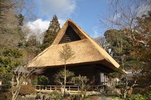 土居家