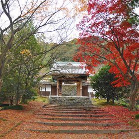 新居浜瑞應寺