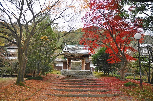 新居浜瑞應寺