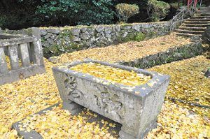 新居浜瑞應寺