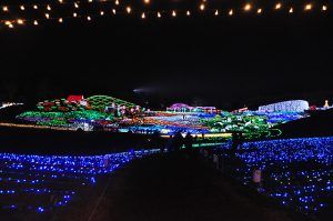 まんのう公園のイルミネーション