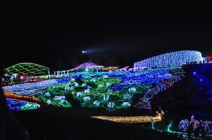 まんのう公園のイルミネーション