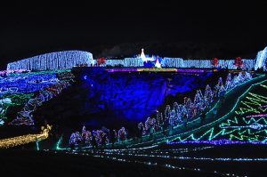 まんのう公園のイルミネーション