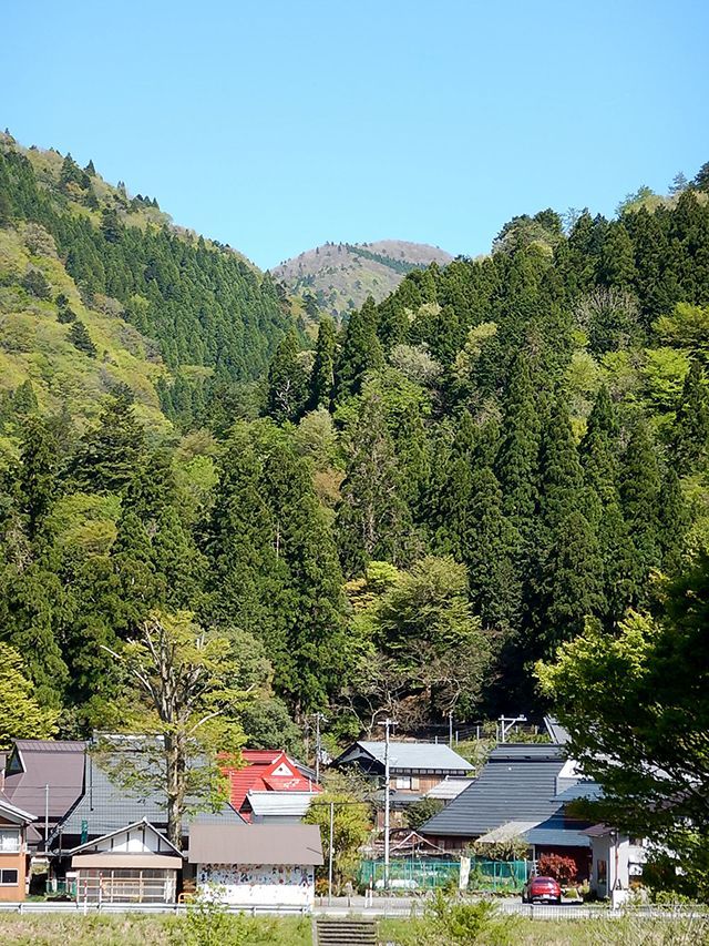 坊村集落