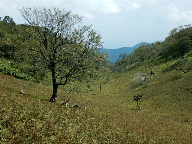 皆子山